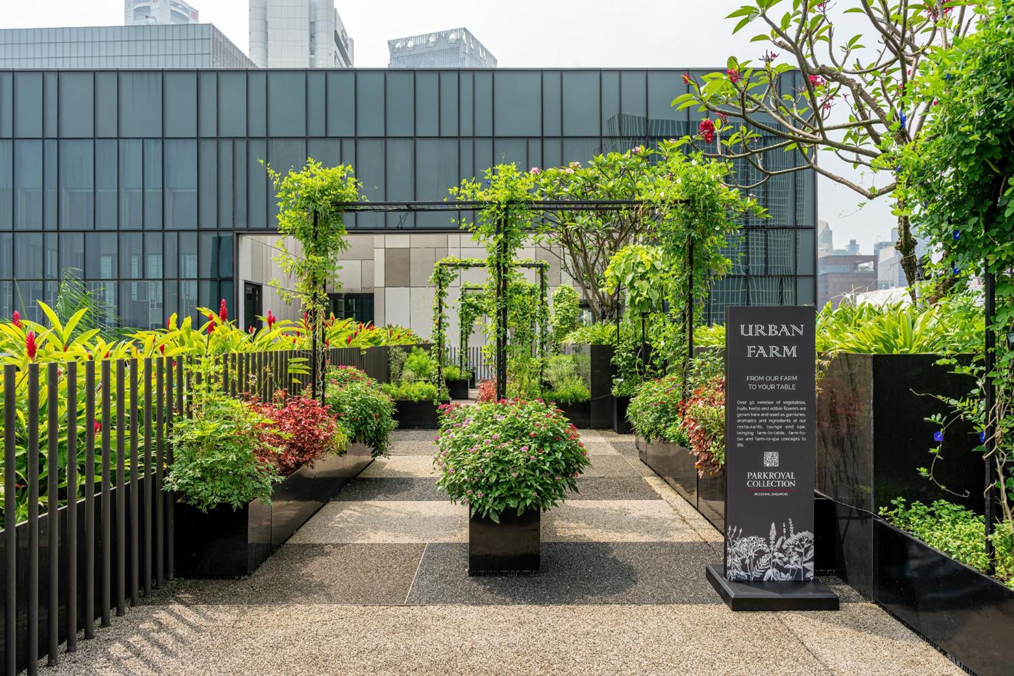 Parkroyal Collection Pickering, Singapura Luaran gambar The photo shows an urban farm setup, featuring neatly arranged plants in large black containers. There are various types of greenery, including shrubs and small trees, providing a lush and vibrant atmosphere. A pathway runs through the garden, leadin
