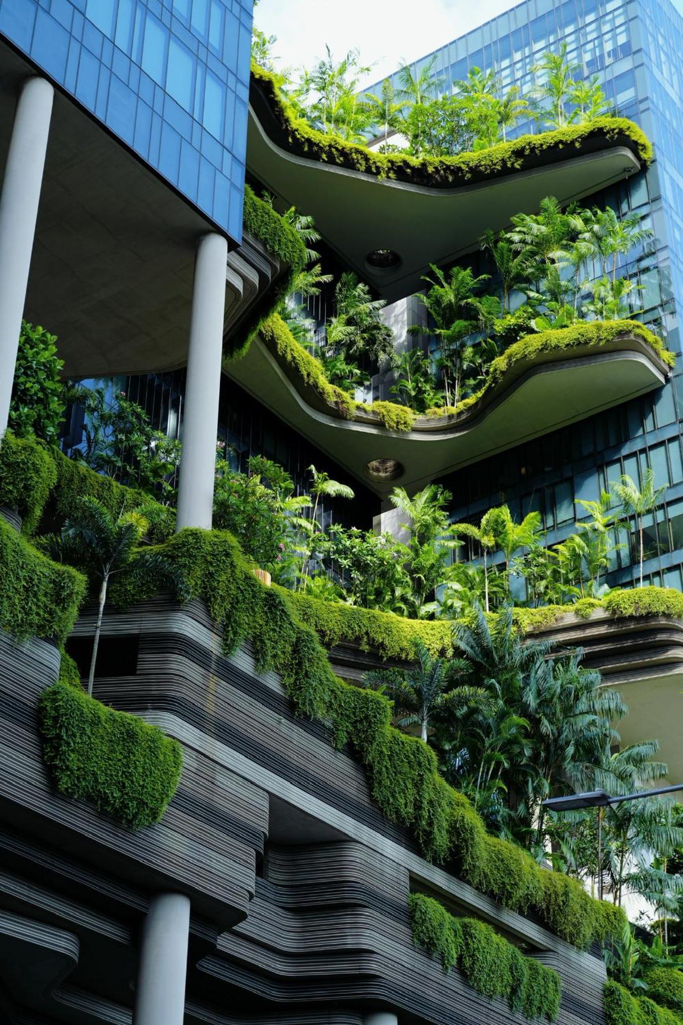 Parkroyal Collection Pickering, Singapura Luaran gambar The photo showcases a modern architectural structure featuring multiple levels adorned with lush greenery and various types of plants. The design incorporates curved balconies and terraces that flow seamlessly into dense vegetation. The interplay of 