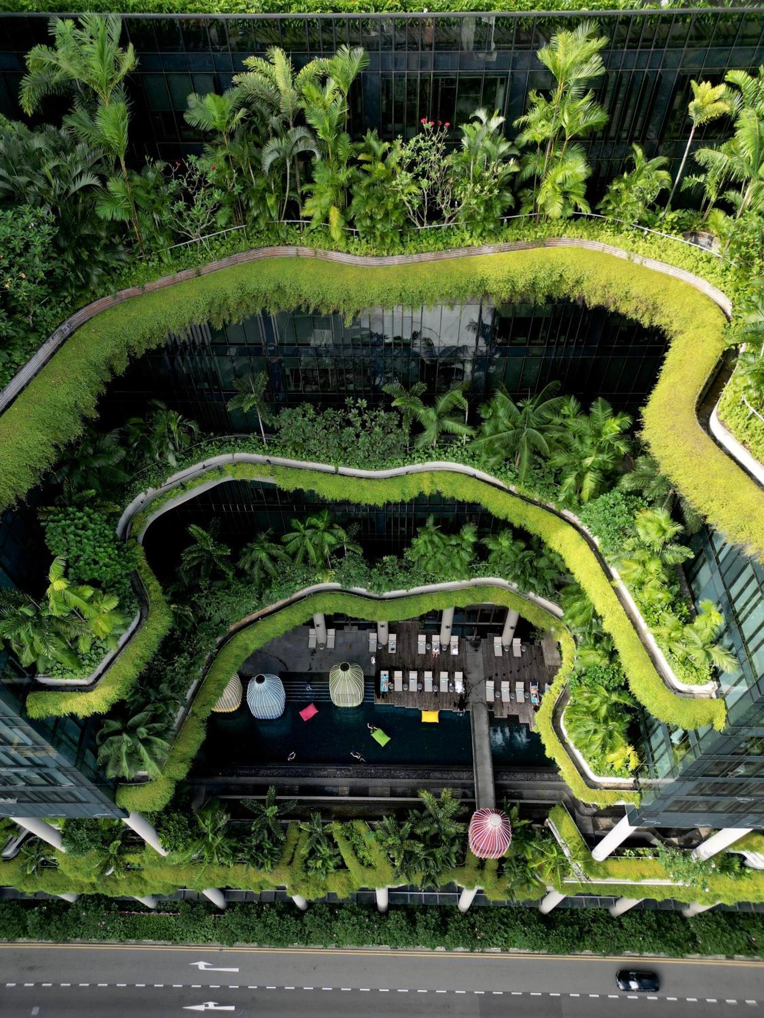 Parkroyal Collection Pickering, Singapura Luaran gambar The photo depicts a modern architectural space featuring a lush, green, multi-layered garden. The garden has a winding, serpentine pathway bordered by thick greenery, including various plants and trees. There are areas with vibrant grass and a relaxa